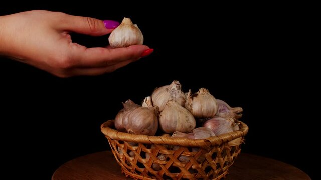 Pile of whole bulbs of garlic in a wicker basket on table. Woman's hand puts the garlic in a wicker basket