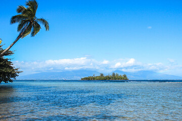 tropical island in the ocean