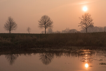 Fototapeta na wymiar trees reflection on water with morning mist