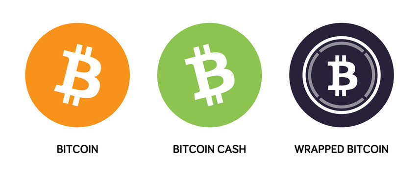 Bitcoin symbol set. Set of vector icons for bitcoin, bitcoin cash and wrapped bitcoin cryptocurrency tokens.