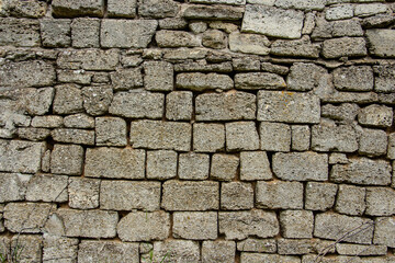 Shell rock wall, stone background close up