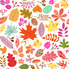 Autumn leaves seamless pattern. Fall foliage background on white