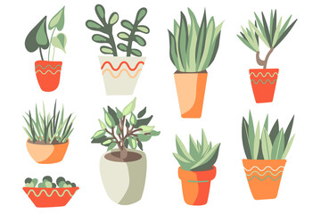 Collection of succulents and houseplants set. Hand draw vector illustration. Cartoon doodle art