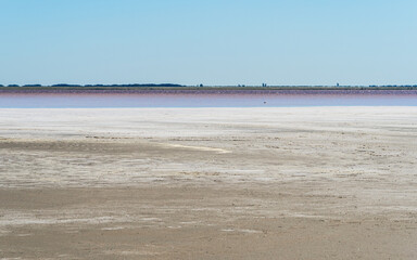 pink surface of a salt lake