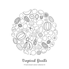 Hand drawn tropical fruits in circle.