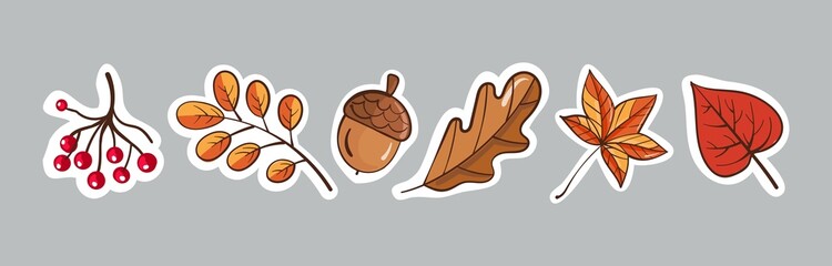Set of stickers of autumn leaves and berries. Vector illustration. © Tatilya