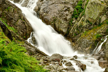 waterfall in the forest