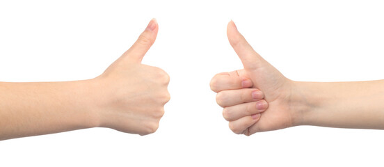 Thumb up gesture, like sign by young female, isolated on a white background photo