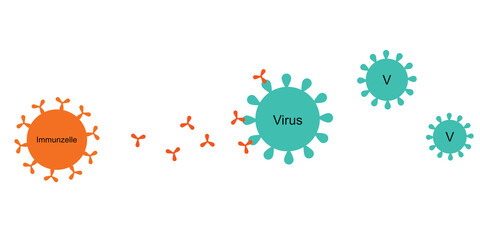 Immunsystem reagiert auf Virus - obrazy, fototapety, plakaty
