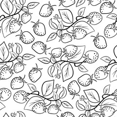 Hand drawn ink outline raspberry with color spots.