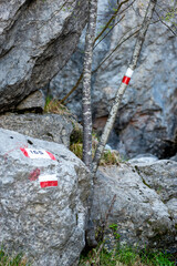 Alpi Apuane - Monte Tambura