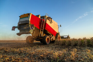 Obraz premium Combine harvester in soybean field