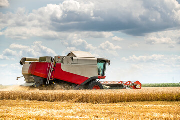 Fototapeta premium Combine harvester in action on wheat field. Harvesting is the process of gathering a ripe crop from the fields.