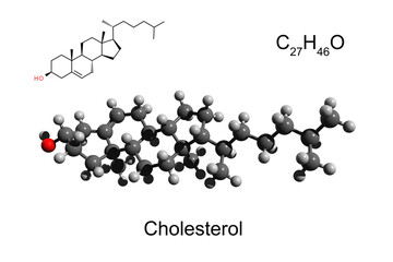 Chemical formula, skeletal formula and 3D ball-and-stick model of cholesterol, white background