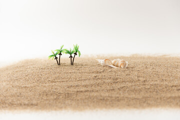 ヤシの木と貝殻