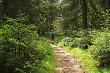 Obraz premium Hiking on hiking trail Rennsteig in Ernstthal, Thuringia - Germany 