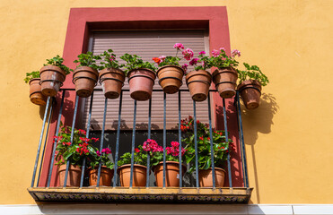 Nice balcony adorned with flower pot, in an orange facade and red frame.