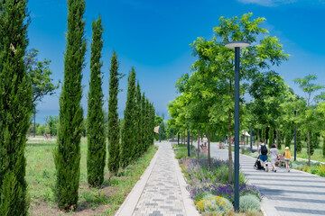 Beautiful summer park, a lot of greenery blue sky. Uchkuevka park Sevastopol 