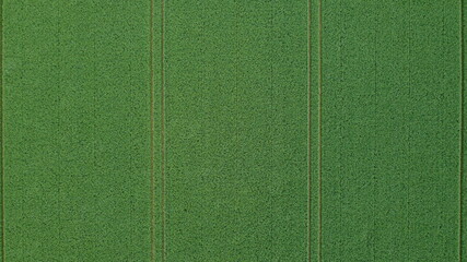 Fototapeta premium DCIM\100MEDIA\DJI_0425.JPG