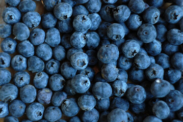 Delicious blueberries in textured form