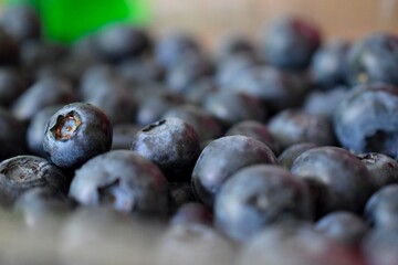 Delicious blueberries in textured form
