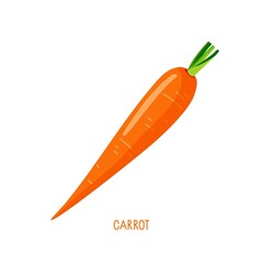 Carrot isolated on white. Farmer Market Logo. Vegetable Ingredient, Orange root plant. Organic food eco template for menu, recipe, Card, banner, sticker, poster, print vector illustration