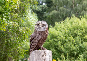 Festival of Wheels, Ipswich – July 2021. Close and selective focus on an owl statue carved out of wood with shallow depth of field and bokeh