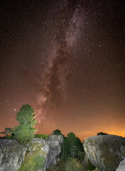 Huge boulders and trees under the milky way