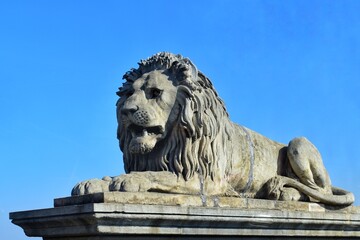 Fototapeta na wymiar Lion Statue at the bridgehead of Chain bridge, have been carved by sculptor János Marschalkó. That statue were added to both sides of the river in 1852.