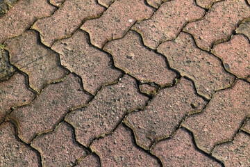 cracked soil texture