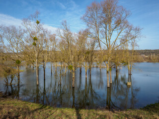 lac inondé à la Base de loisirs de Verneuil sur Seine dans les Yvelines en France