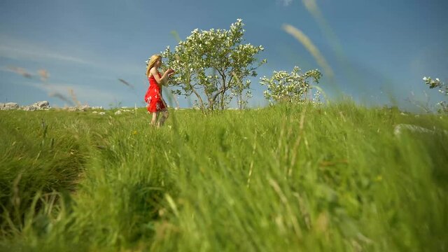 girl in red dress on meadow