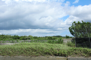 Obraz premium 分厚い雲の空とみどりと柵