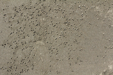 俯瞰の丸っこい粒のある砂浜