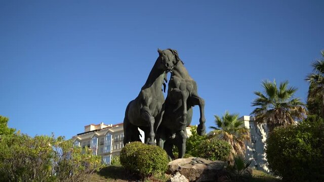 Tomas de plaza del caballo en jerez de la frontera