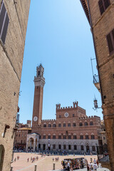 Fototapeta premium The beautiful Piazza del Campo in Siena
