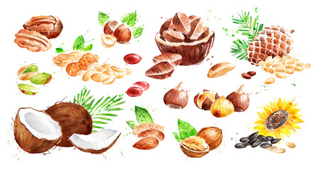Watercolor illustration set of nuts