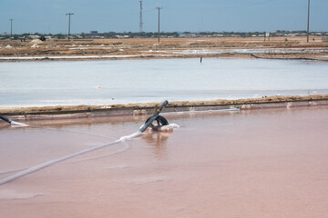 Tire Holding One of the Pipes that Comes from the Sea for the Salt Extraction Process in Manaure, the Most Important Maritime Salt Slat Mine in Colombia