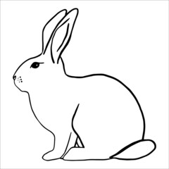 easter bunny. animal. Hare. cute. coloring. vector eps 10