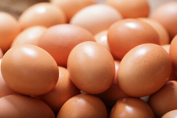 brown eggs as background