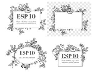 Floral hand drawn elements. Flowers set. rose hip vector illustration. Black outline