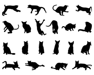 Black silhouettes of cats on a white background	