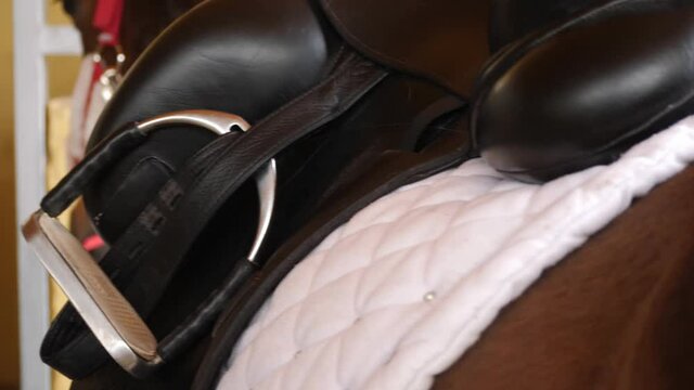 Female horse rider adjusting the girth before riding (slow motion).