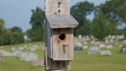 wooden bird house
