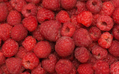 red raspberry berry