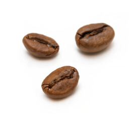 coffee bean group