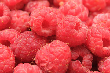 red raspberry berry