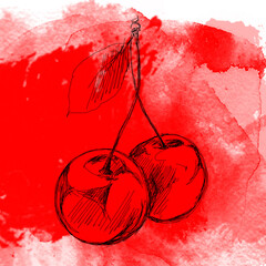 hand drawing art of red cherry
