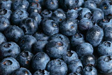 Fresh blueberry background. Texture blueberry berries close up