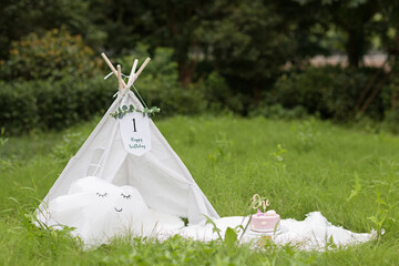 Beautiful photo session set up for baby girl celebrating one year old birthday, outdoor at summer with white wigwam, blanket, balloon. Delicious biscuit cake with butter cream and candle one © Алина Бузунова